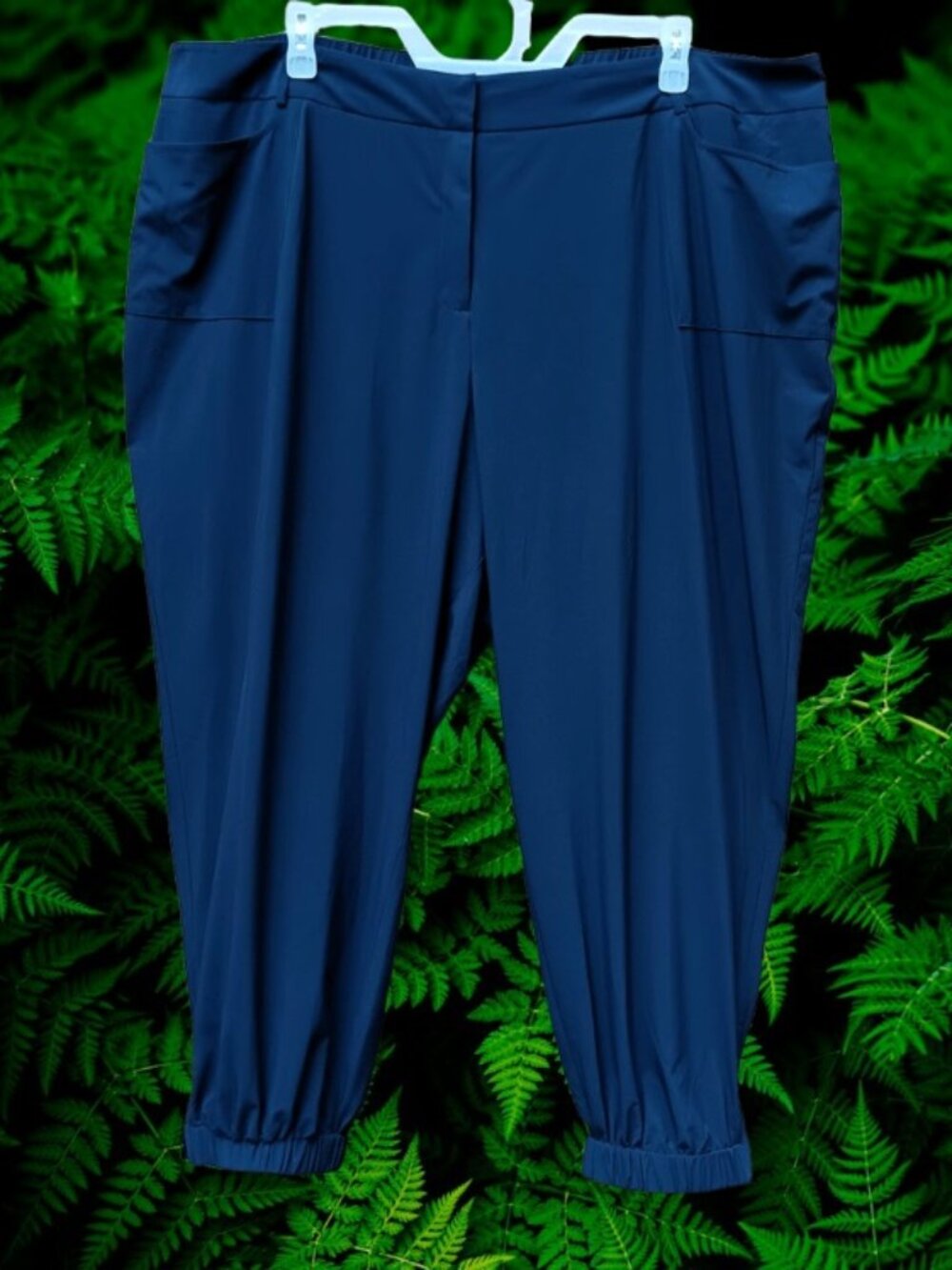 6th & LN Womens Plus Ankle Pants Elastic Waist Light Weight Blue Size 28